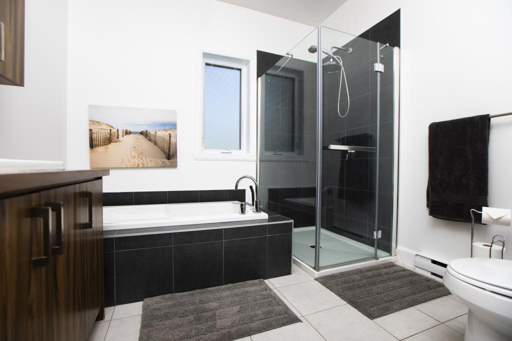 Salle de bain avec bain et douche en vitre séparés